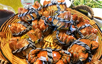 “陽(yáng)澄湖大閘蟹”：正品尚未開捕 “李鬼”蟹已上市